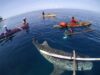 Pemda Sumbawa Tetapkan Wisata Hiu Paus Sebagai Wisata Unggulan di Sail Indonesia