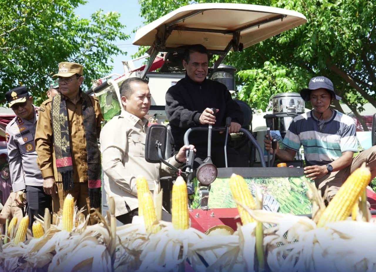 Panen Raya Jagung Bersama Menteri Pertanian, Sumbawa Bakal Jadi Sentra Hilirisasi Jagung