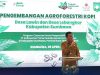 Program Agroforestri Kopi Resmi Diluncurkan, Bupati H. Jarot Sebut Produksi Kopi Sumbawa Terbesar di NTB