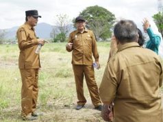 Bupati Sumbawa Rencanakan Penanaman 1.000 Pohon Ketapang Kencana di Labuhan Badas Dan Moyo Hilir