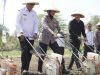 Dukung Ketahanan Pangan, Bupati Tanam Jagung Serentak
