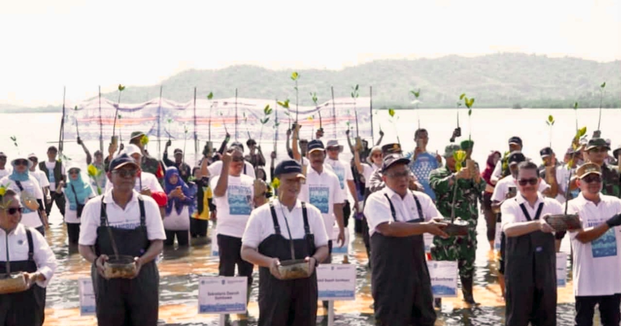Mangrove for Life di Sumbawa, Bupati H. Jarot Tegaskan Komitmen Menuju Sumbawa Hijau Lestari.