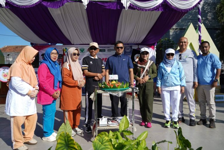 Wabup H. Ansori: Bidan Garda Terdepan Kesehatan Ibu dan Anak